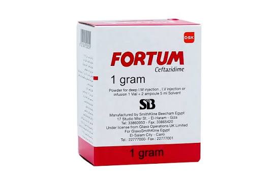 FORTUM 1GM VIAL