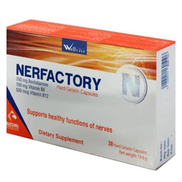 nerfactory 30 cap